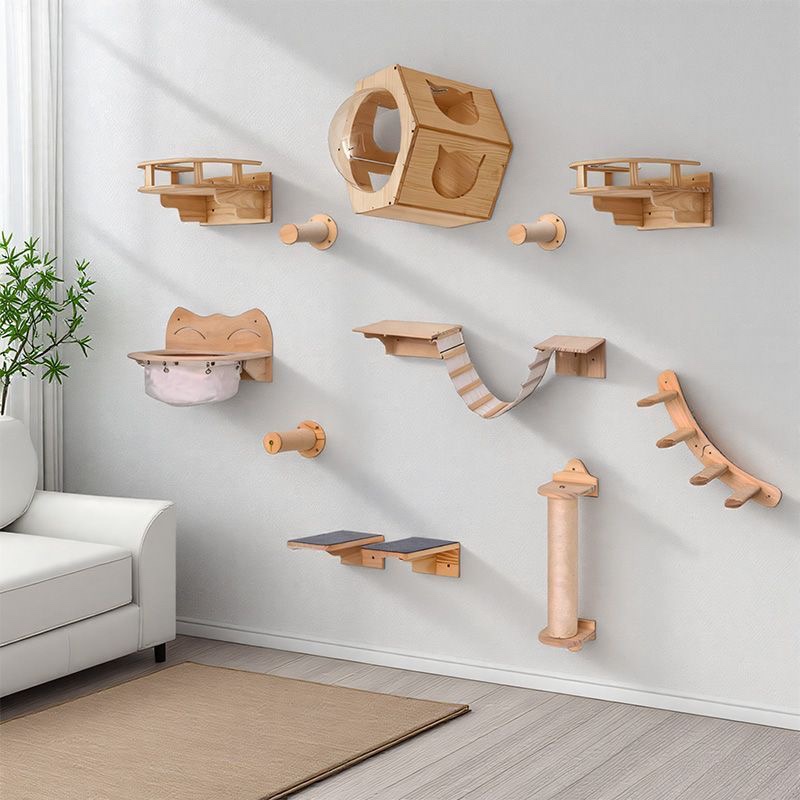 أثاث للقطط من الخشب الصلب، جسر - مراجعة Furniture Paradise & Hardware Ghaziabad Photos وسعره