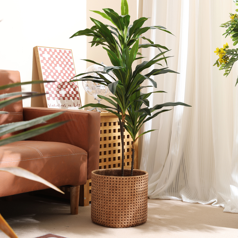أثاث للشقق الصغيرة، أصيص زهور  - مراجعة Furniture Paradise & Hardware Ghaziabad Photos وسعره